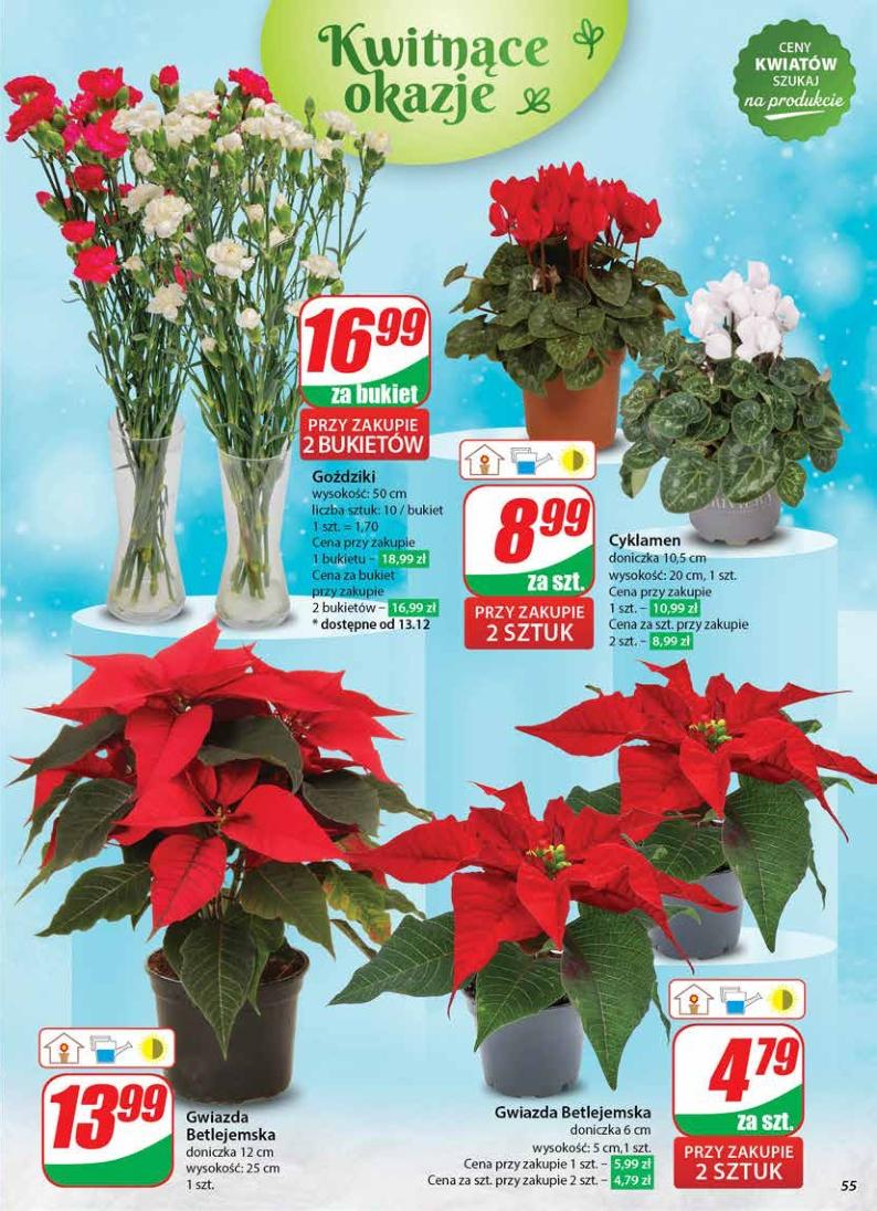 Gazetka promocyjna DINO str. 55