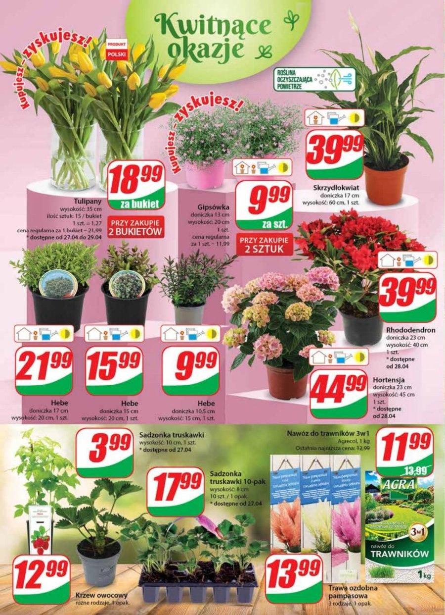 Gazetka promocyjna DINO str. 22