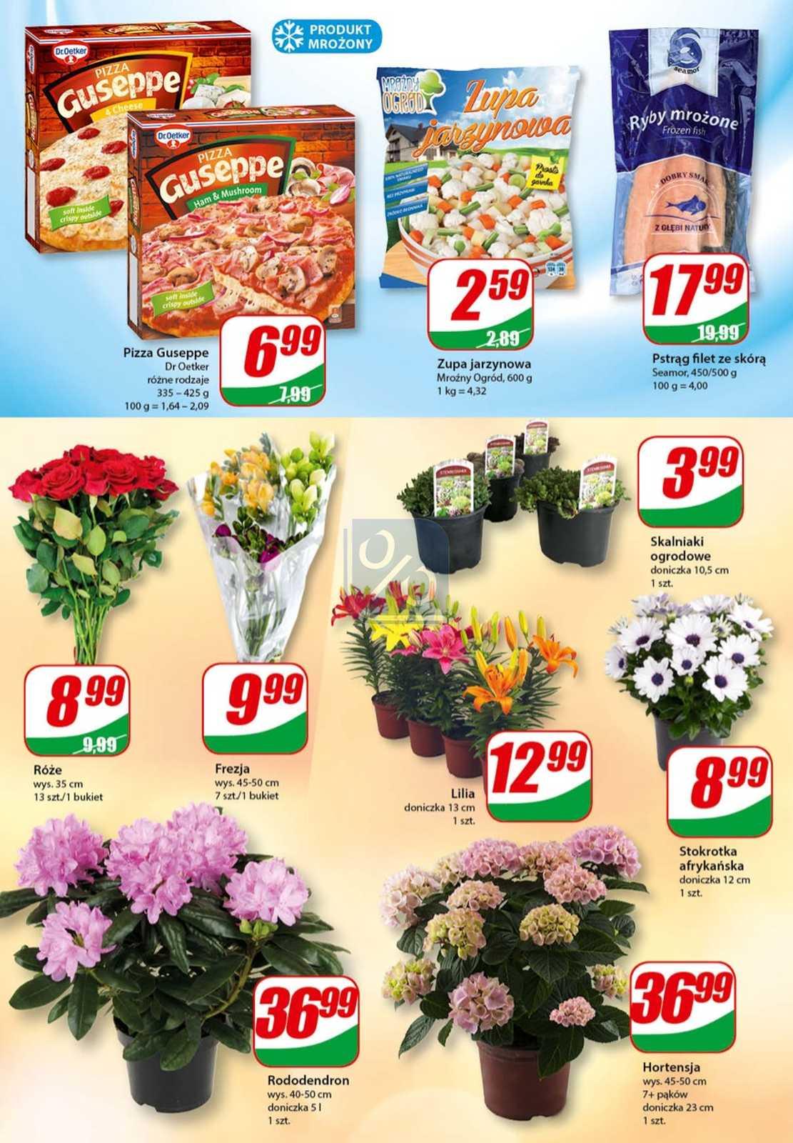 Gazetka promocyjna DINO str. 6