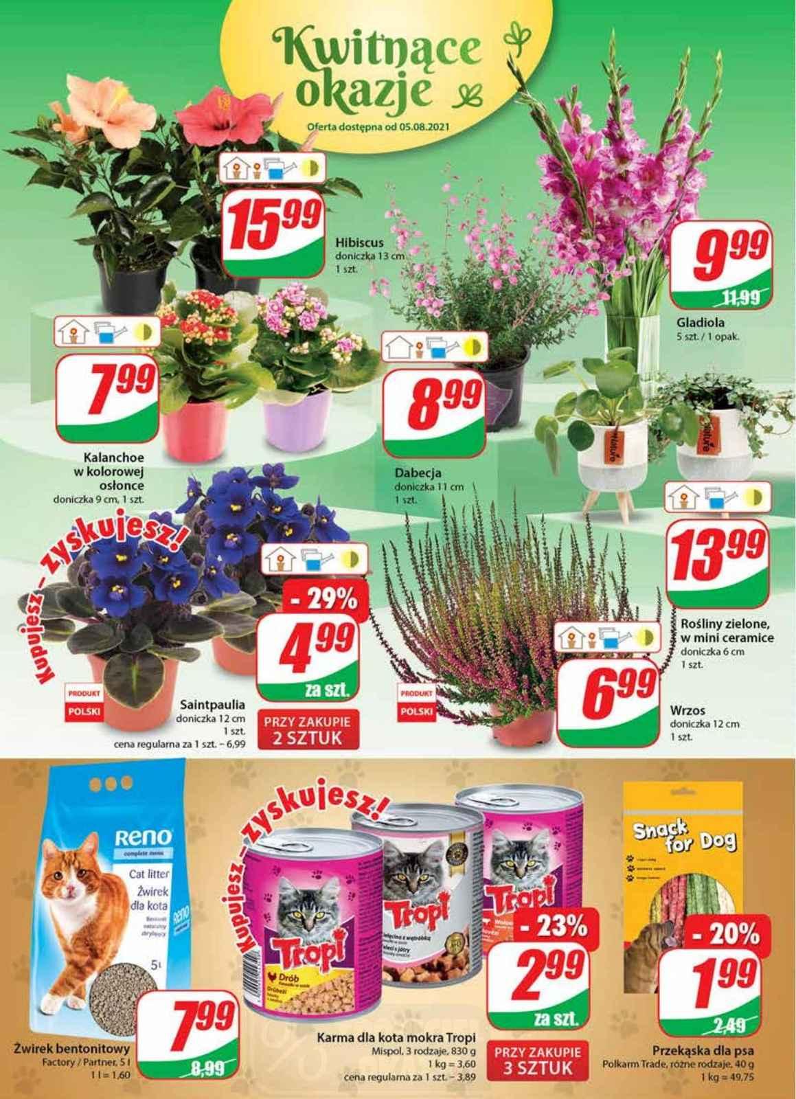 Gazetka promocyjna DINO str. 18