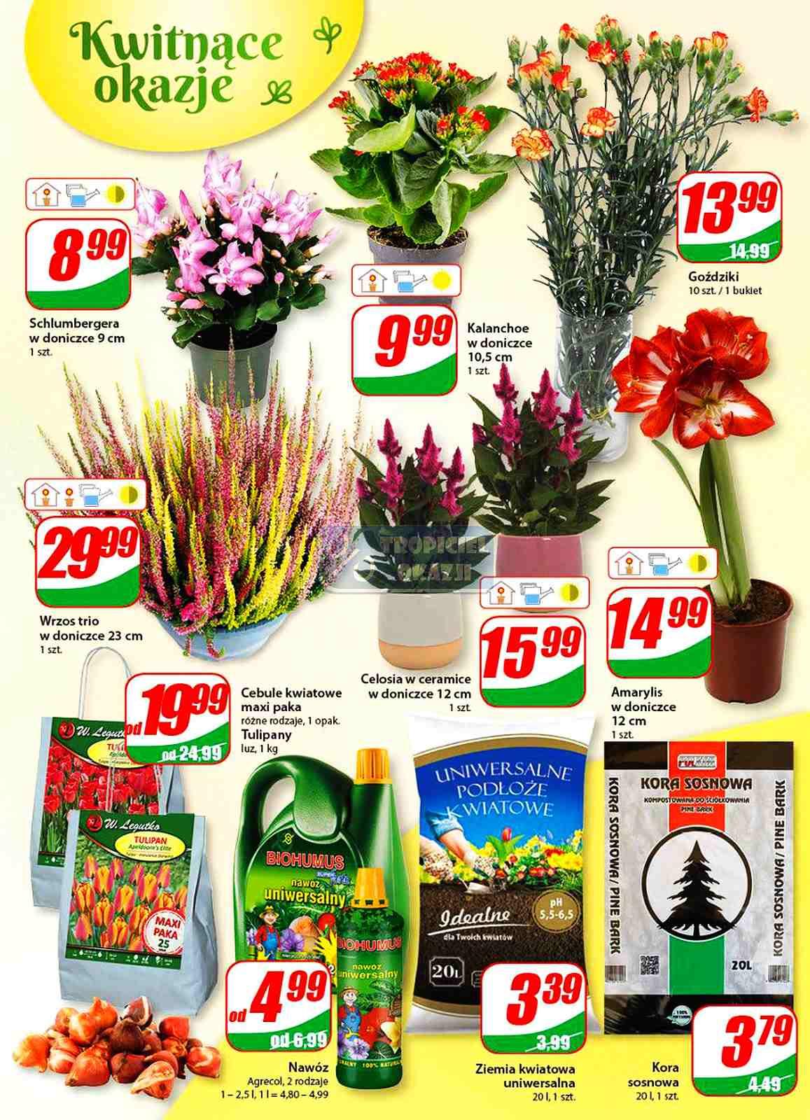 Gazetka promocyjna DINO str. 14