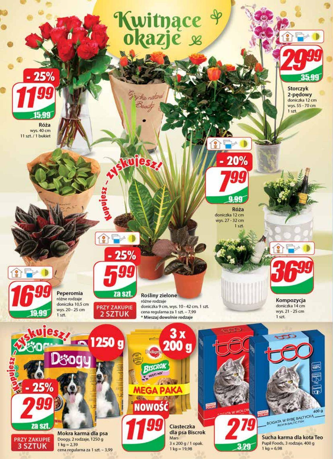 Gazetka promocyjna DINO str. 18