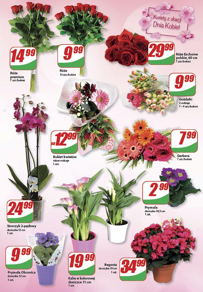 Gazetka promocyjna DINO str. 9