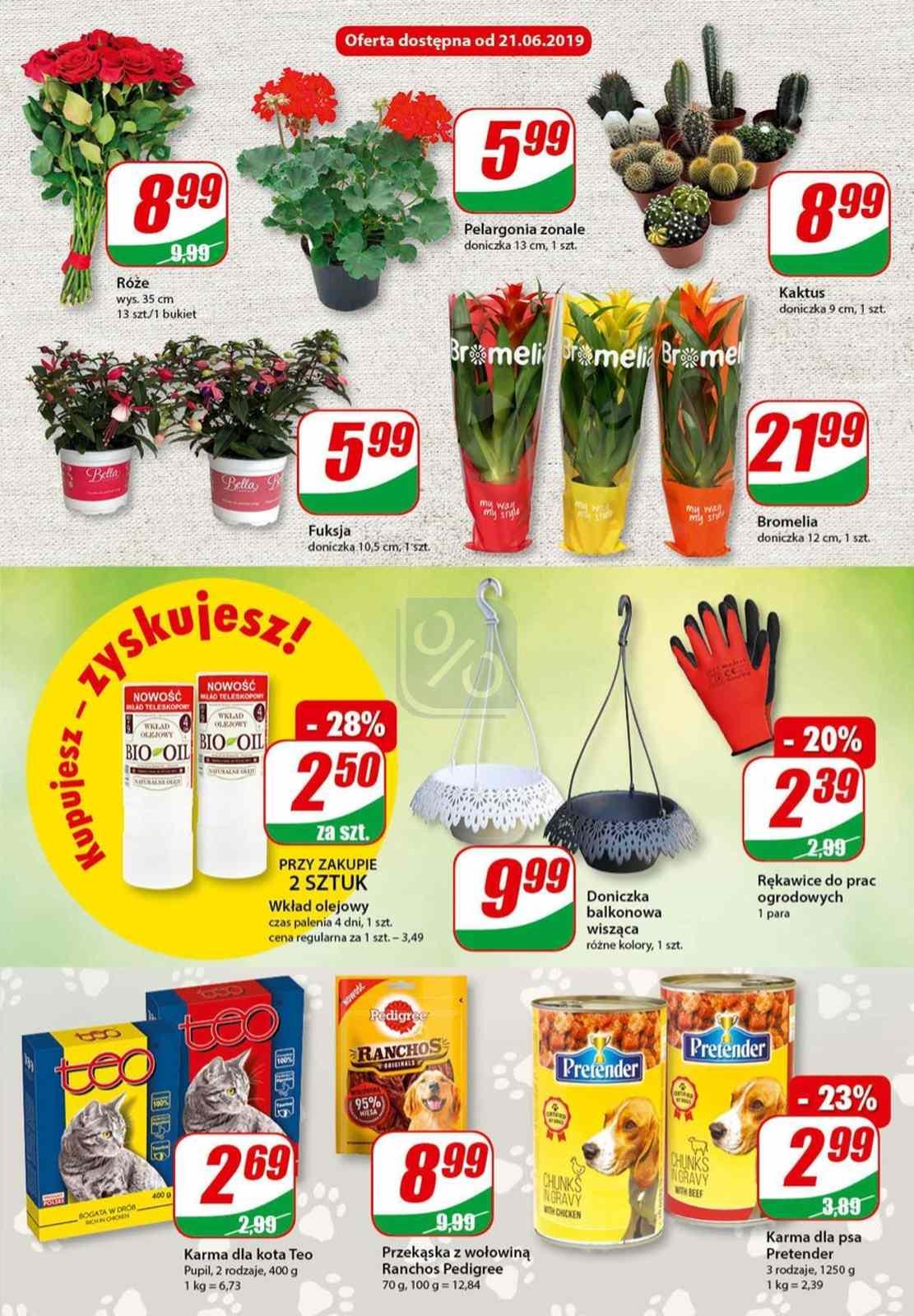 Gazetka promocyjna DINO str. 13