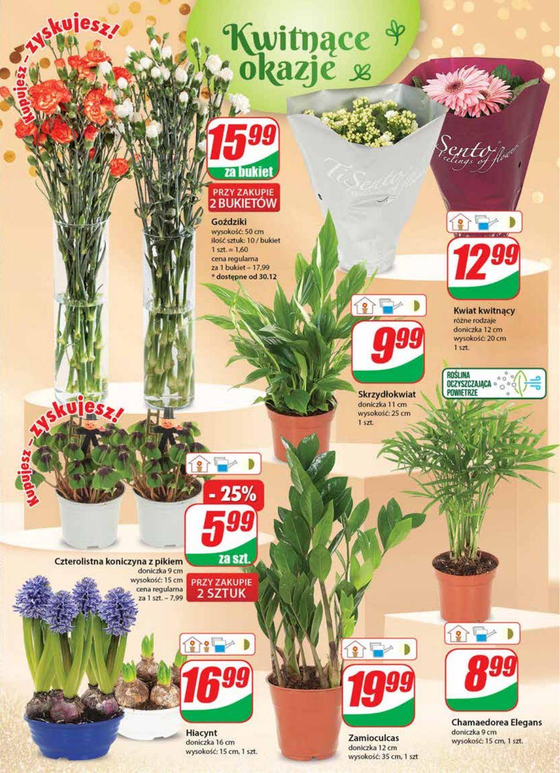 Gazetka promocyjna DINO str. 17