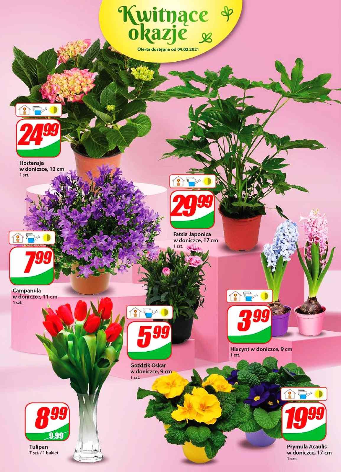 Gazetka promocyjna DINO str. 16