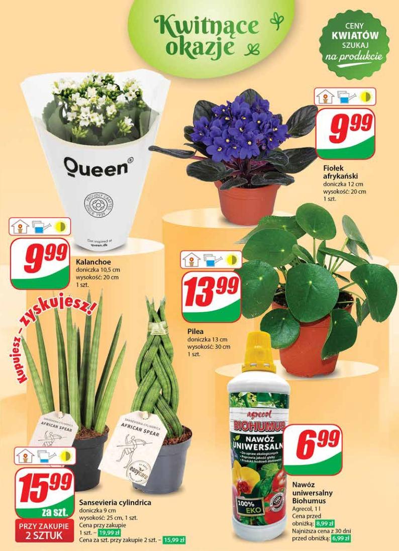 Gazetka promocyjna DINO str. 51