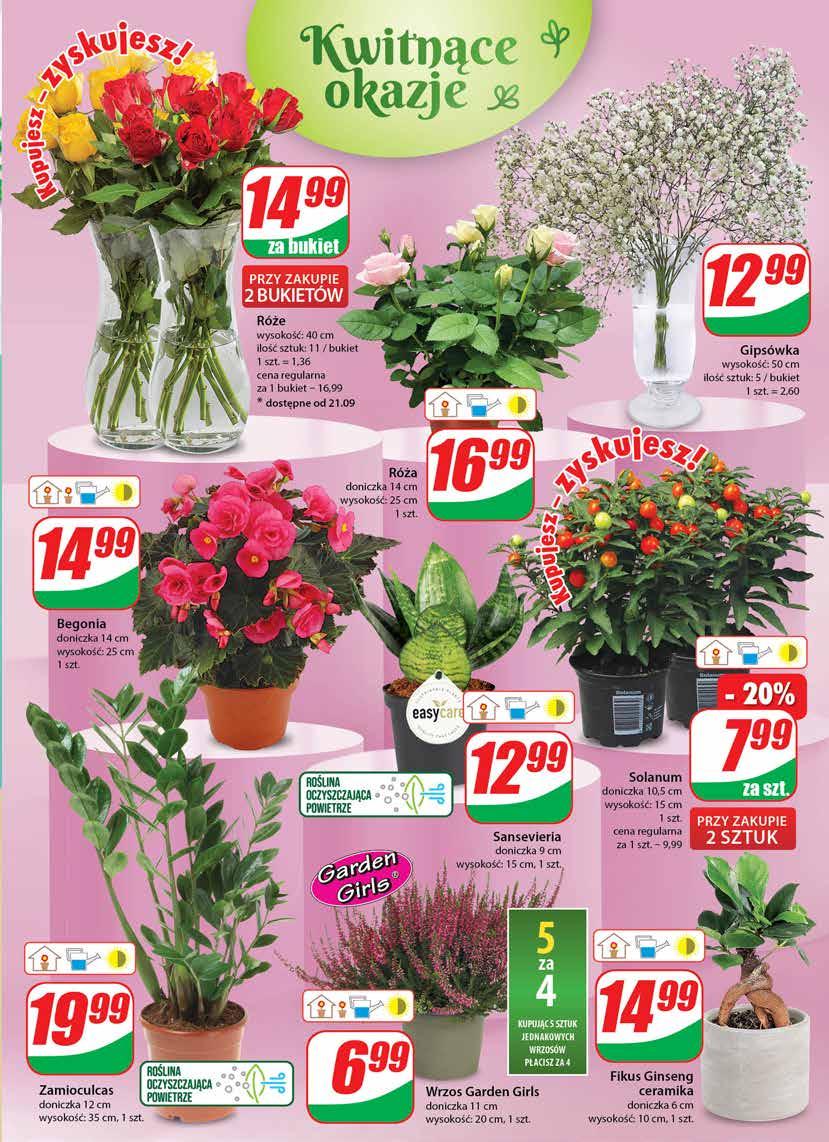 Gazetka promocyjna DINO str. 17