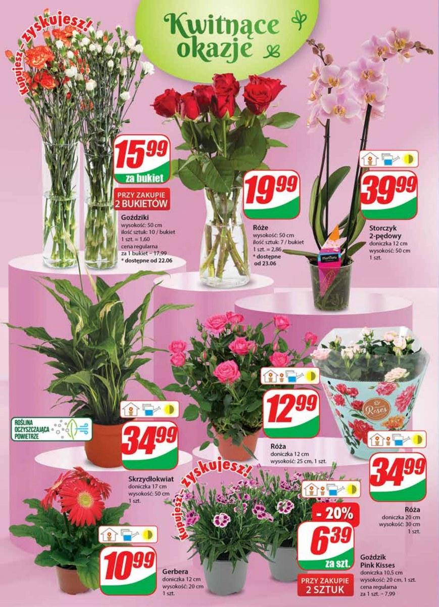 Gazetka promocyjna DINO str. 19