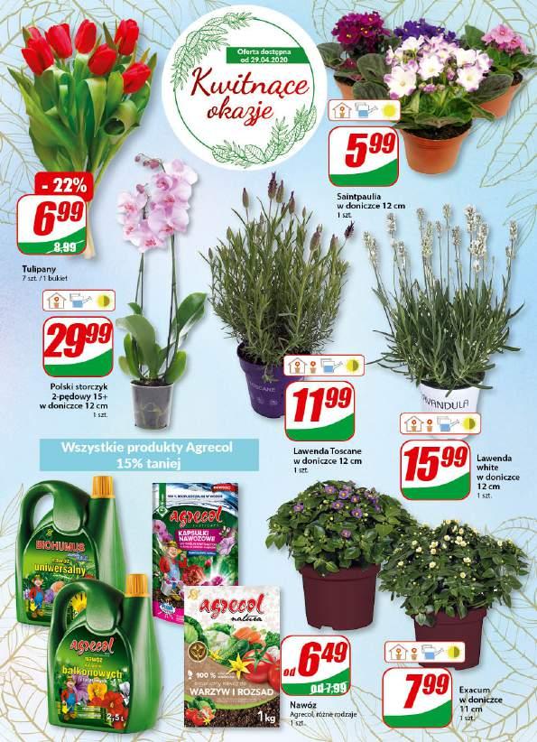 Gazetka promocyjna DINO str. 21