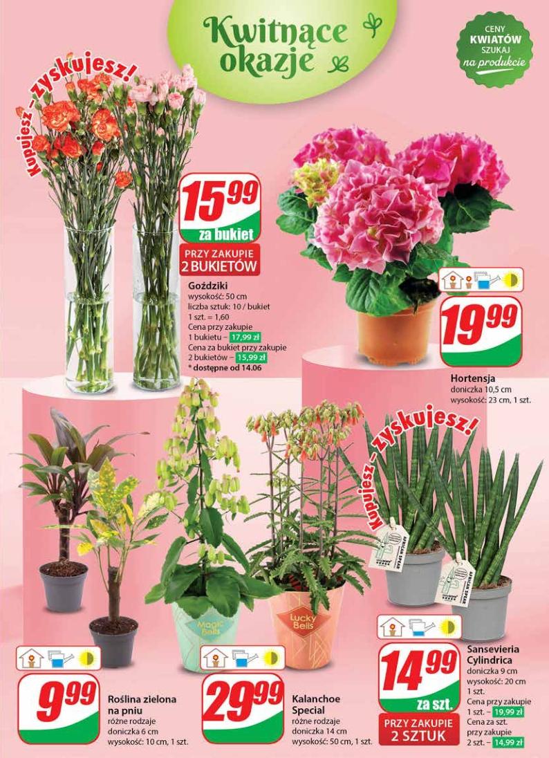 Gazetka promocyjna DINO str. 51