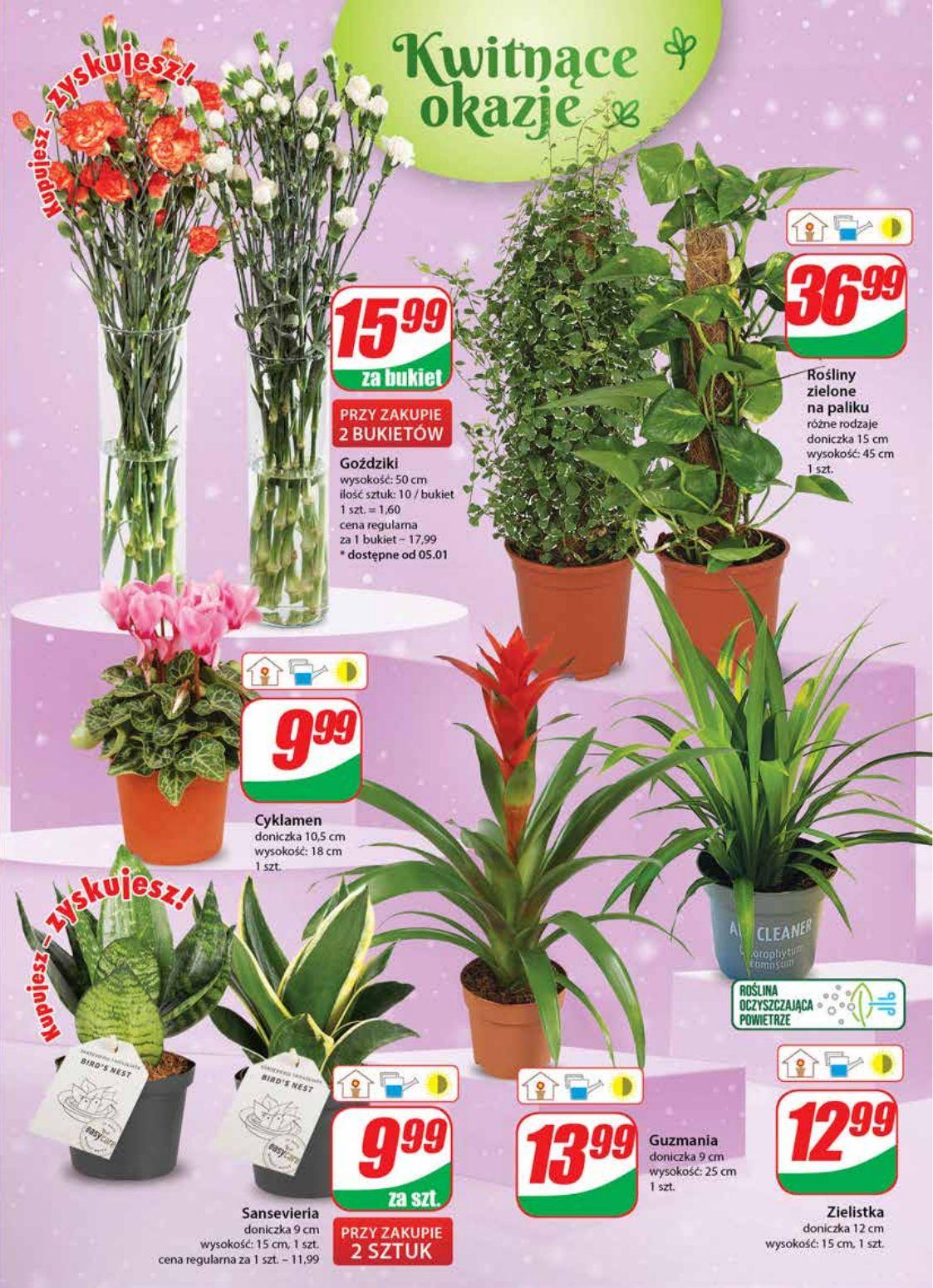 Gazetka promocyjna DINO str. 19