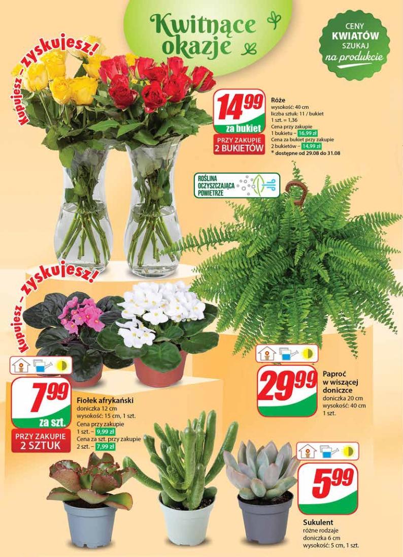 Gazetka promocyjna DINO str. 50