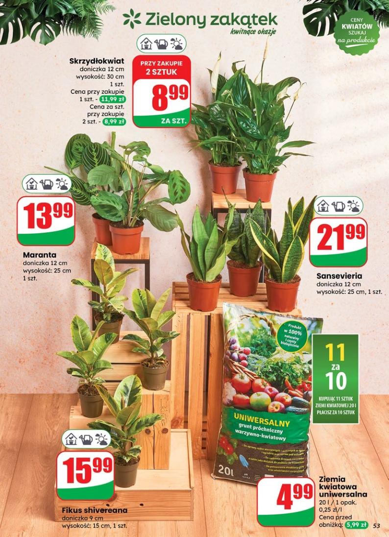 Gazetka promocyjna DINO str. 53