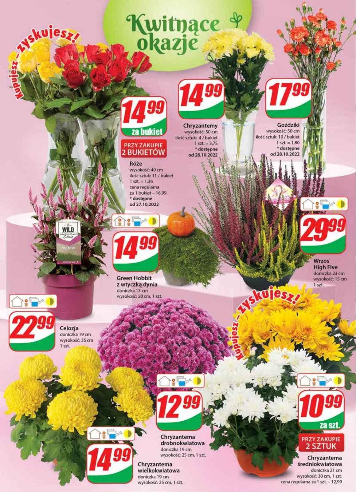 Gazetka promocyjna DINO str. 20