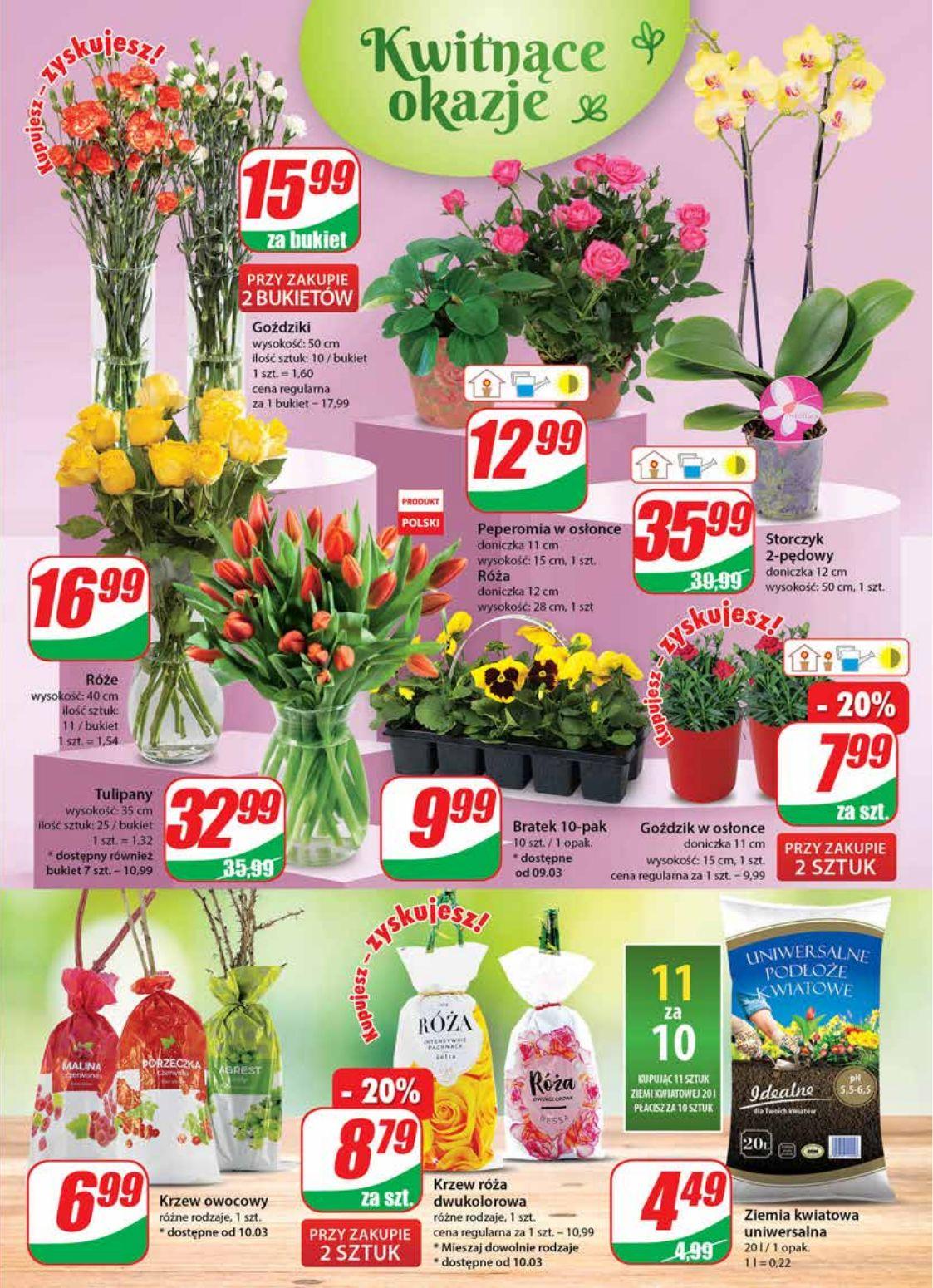 Gazetka promocyjna DINO str. 19