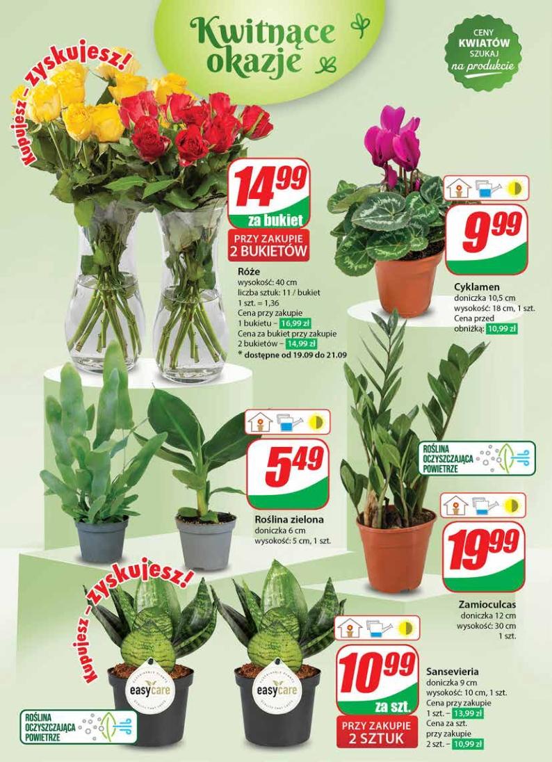 Gazetka promocyjna DINO str. 50