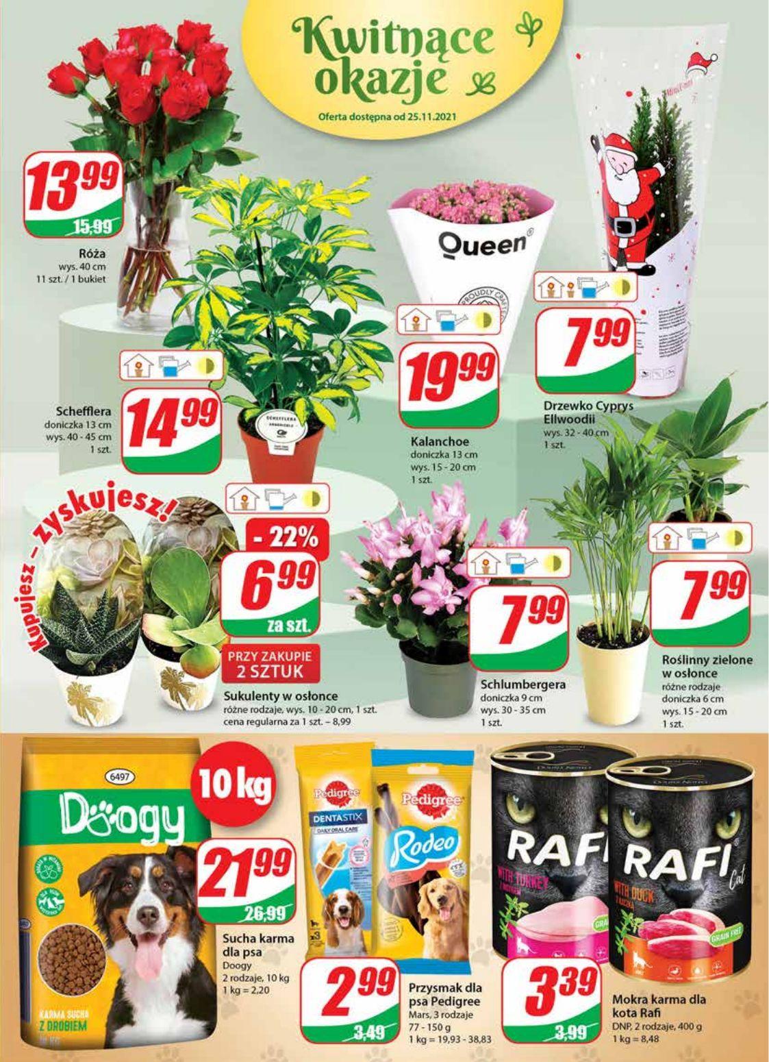 Gazetka promocyjna DINO str. 19