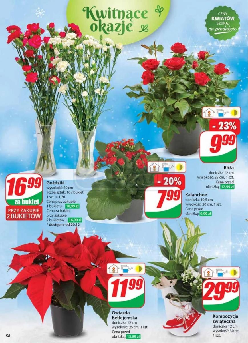 Gazetka promocyjna DINO str. 58