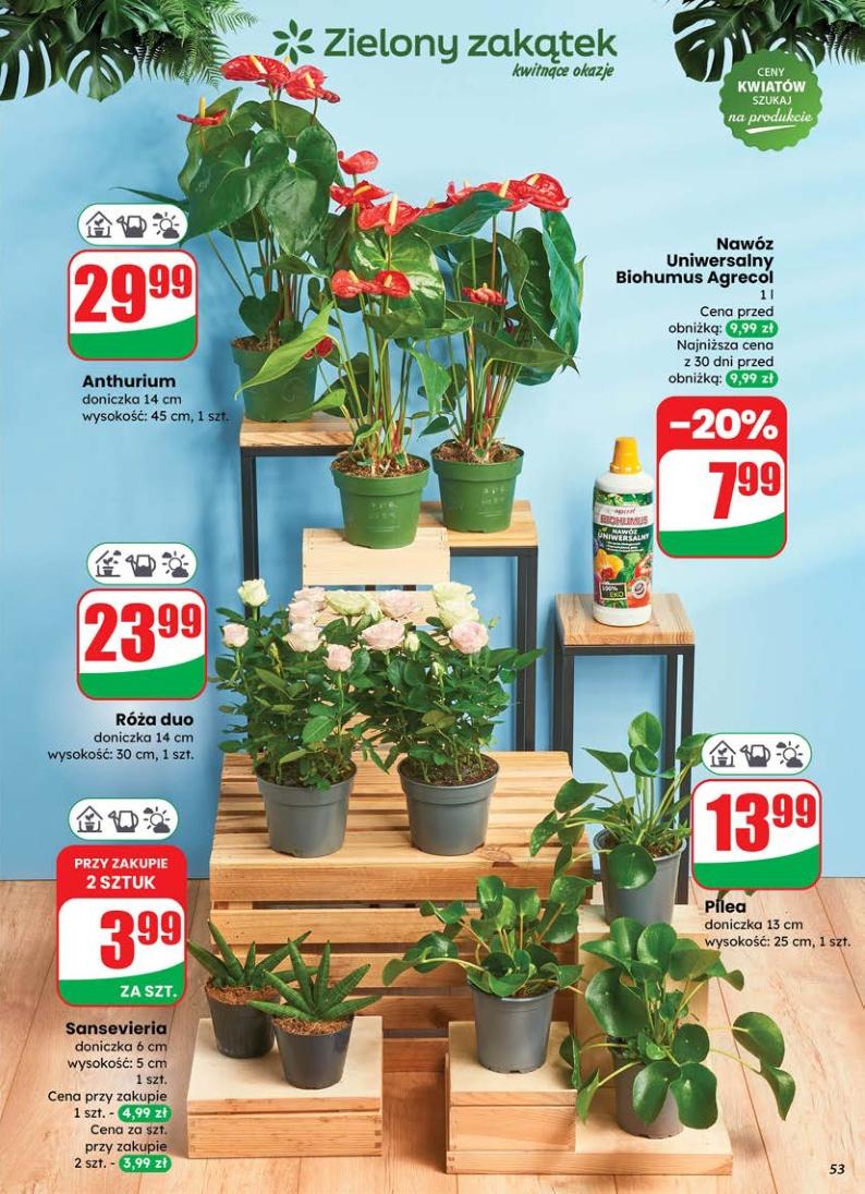 Gazetka promocyjna DINO str. 53