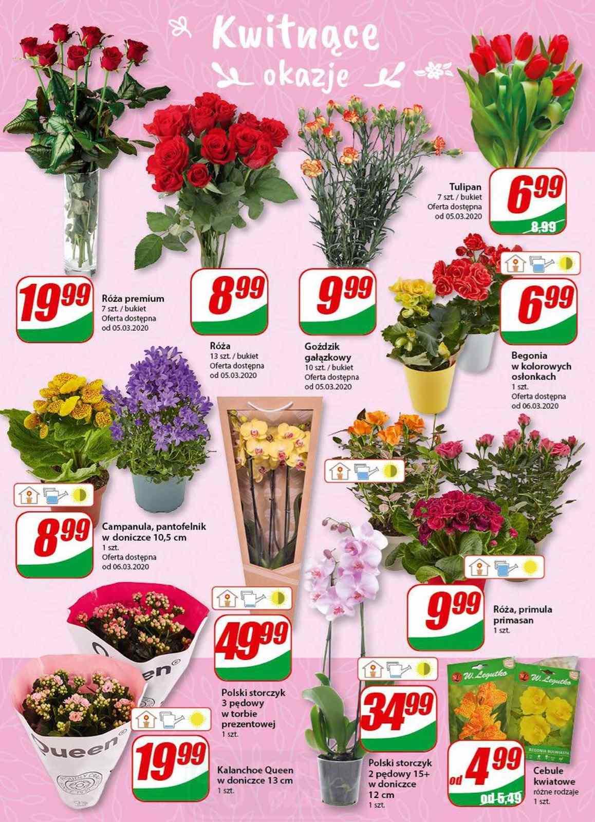 Gazetka promocyjna DINO str. 14