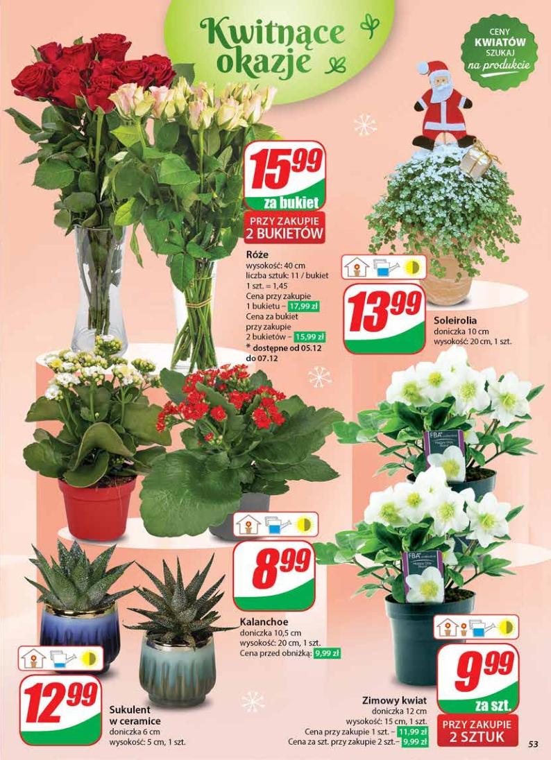 Gazetka promocyjna DINO str. 53