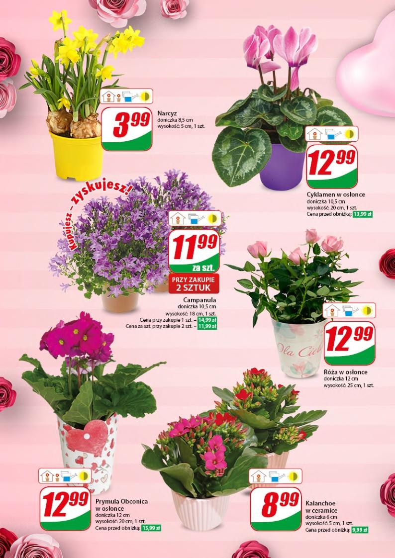 Gazetka promocyjna DINO str. 11