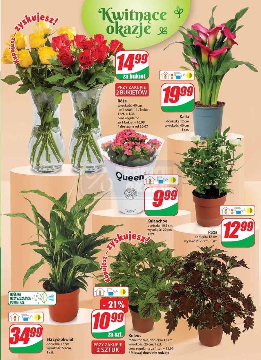 Gazetka promocyjna DINO str. 19