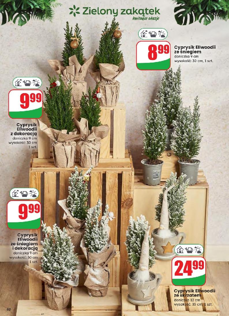 Gazetka promocyjna DINO str. 60