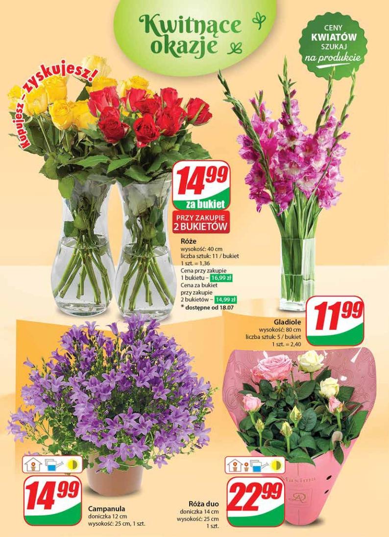 Gazetka promocyjna DINO str. 50