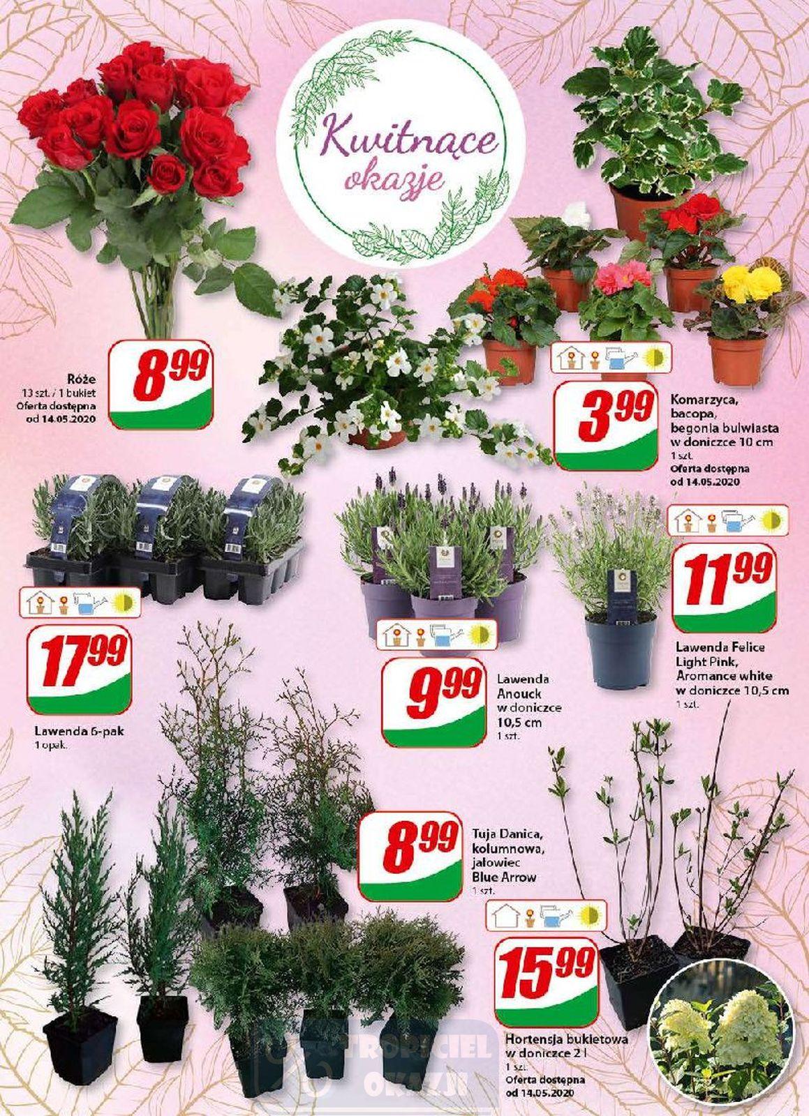 Gazetka promocyjna DINO str. 14