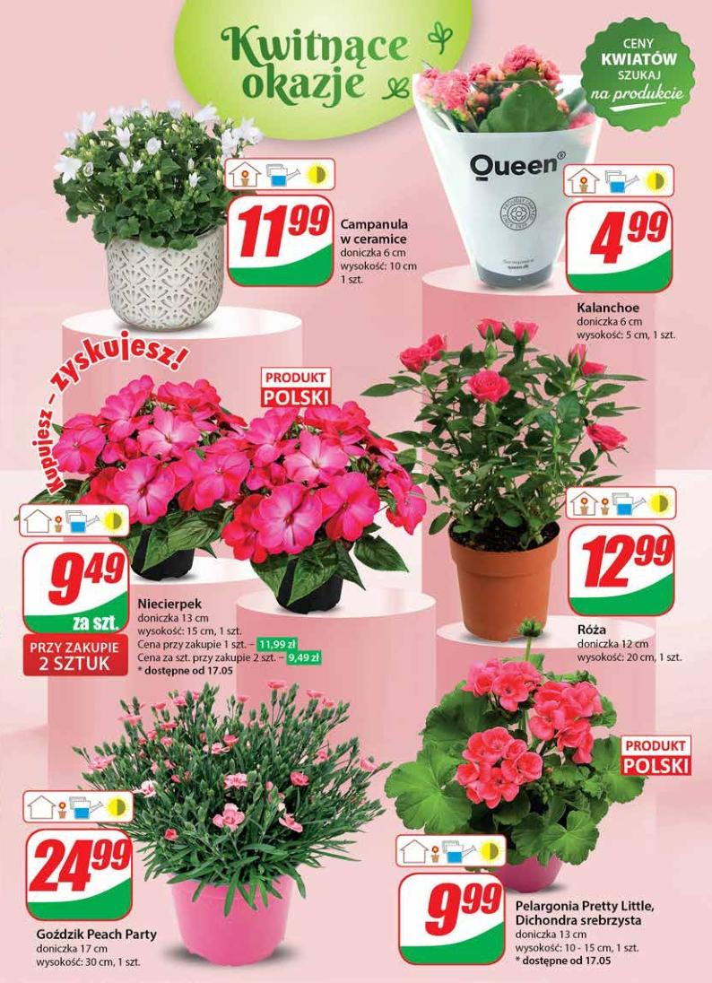 Gazetka promocyjna DINO str. 51