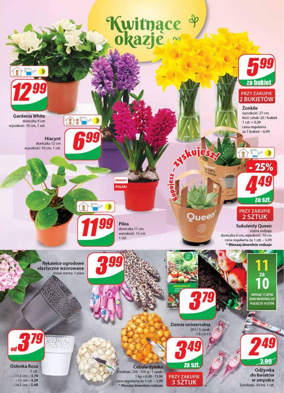 Gazetka promocyjna DINO str. 19