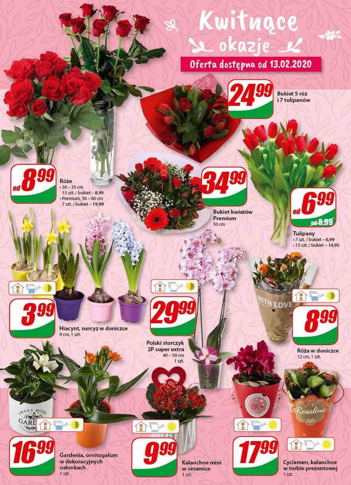 Gazetka promocyjna DINO str. 14