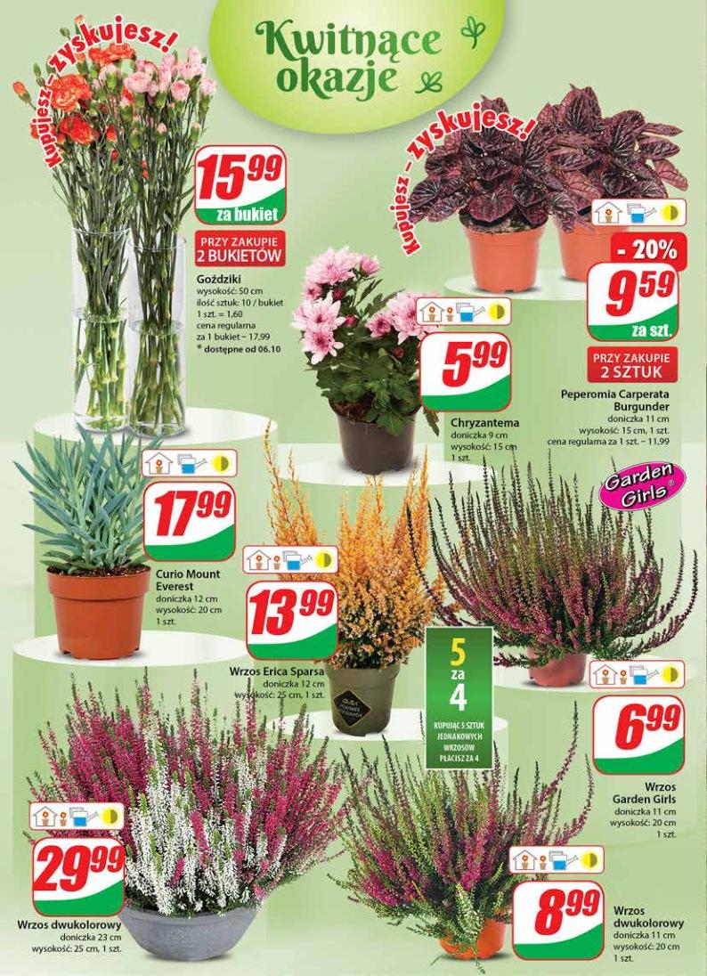 Gazetka promocyjna DINO str. 18