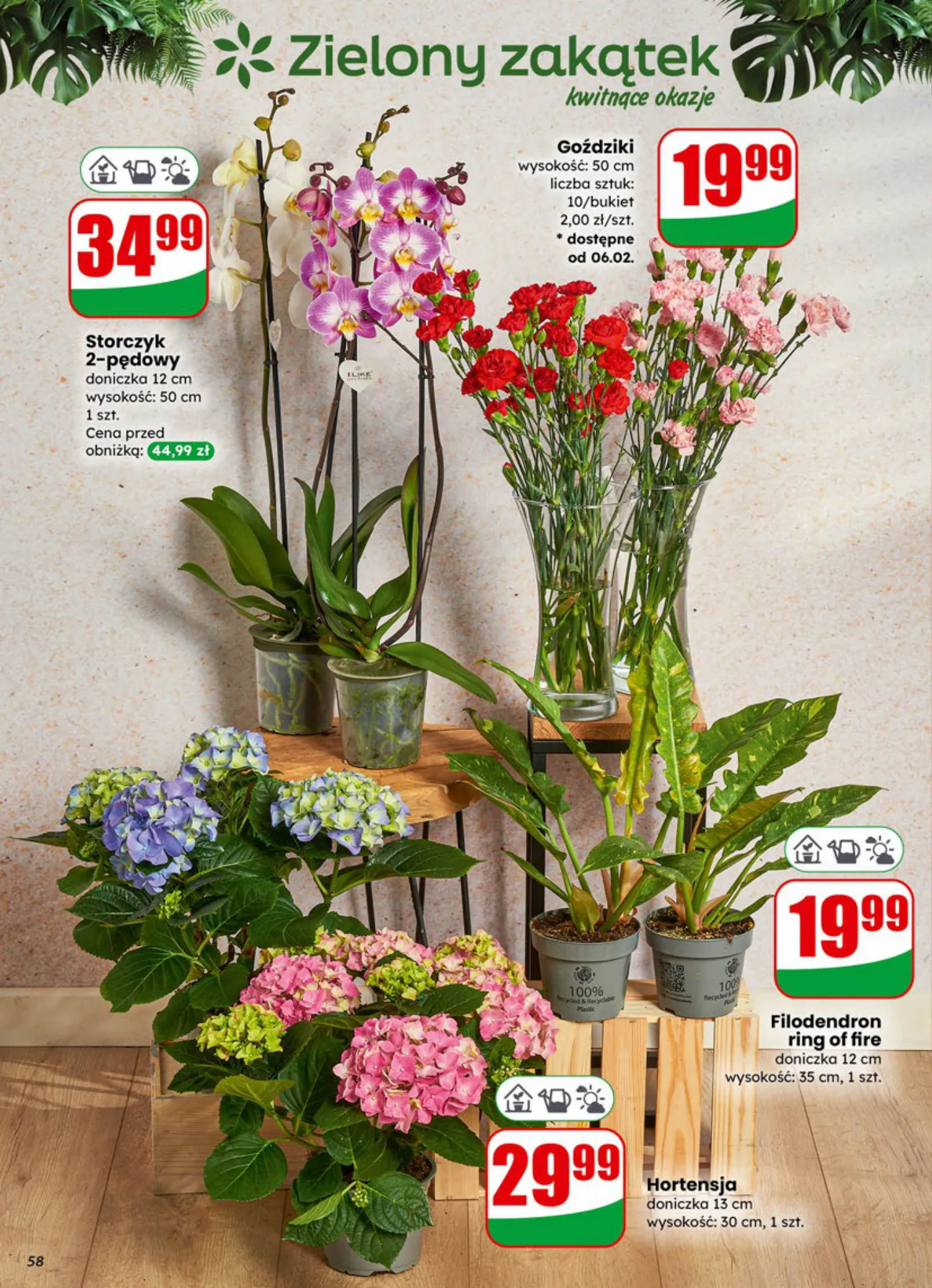 Gazetka promocyjna DINO str. 58