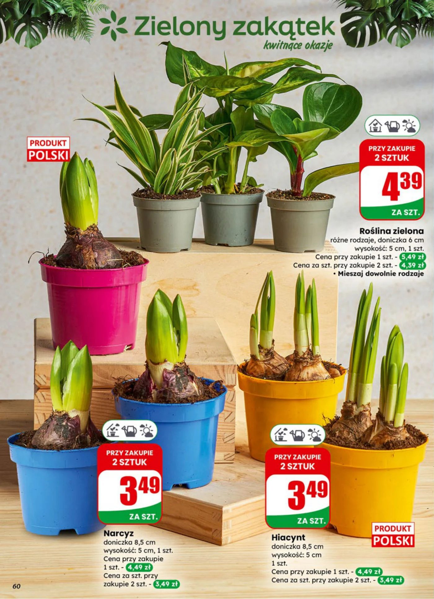 Gazetka promocyjna DINO str. 60