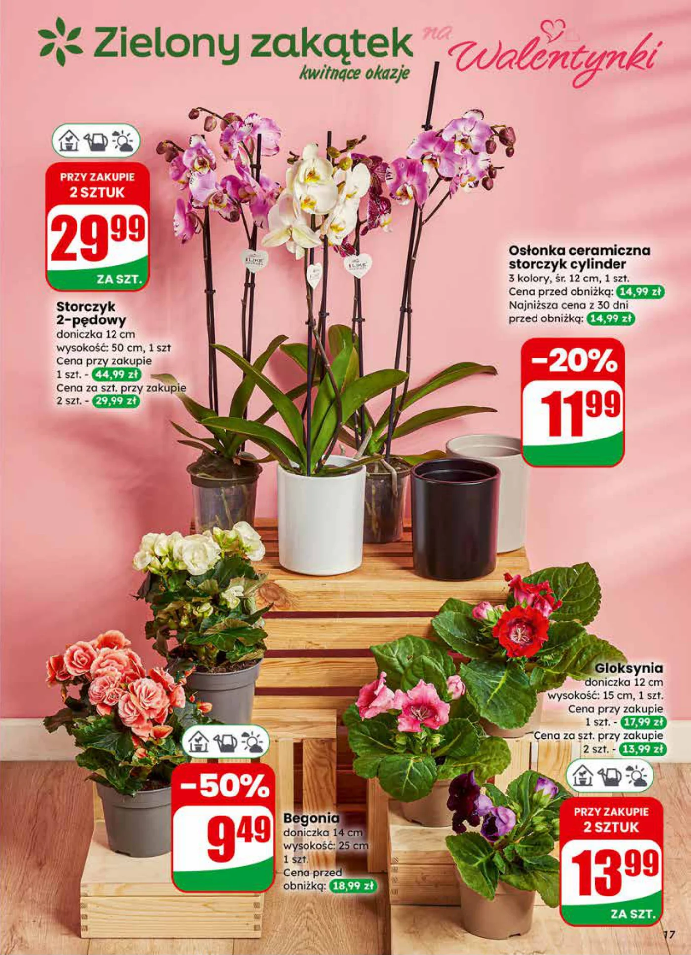 Gazetka promocyjna DINO str. 17