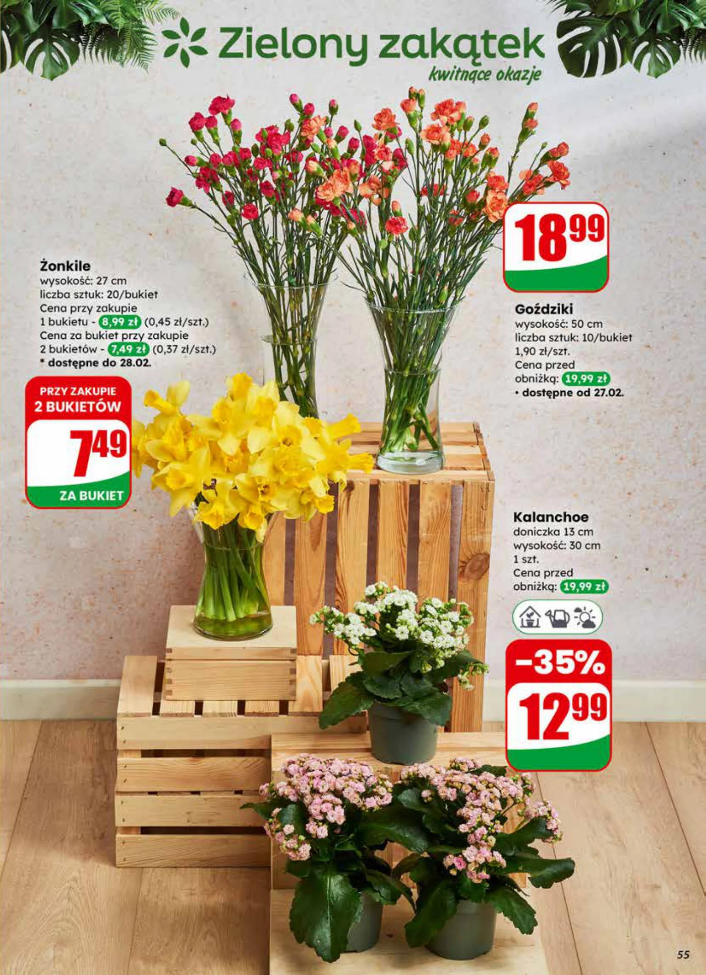 Gazetka promocyjna DINO str. 55