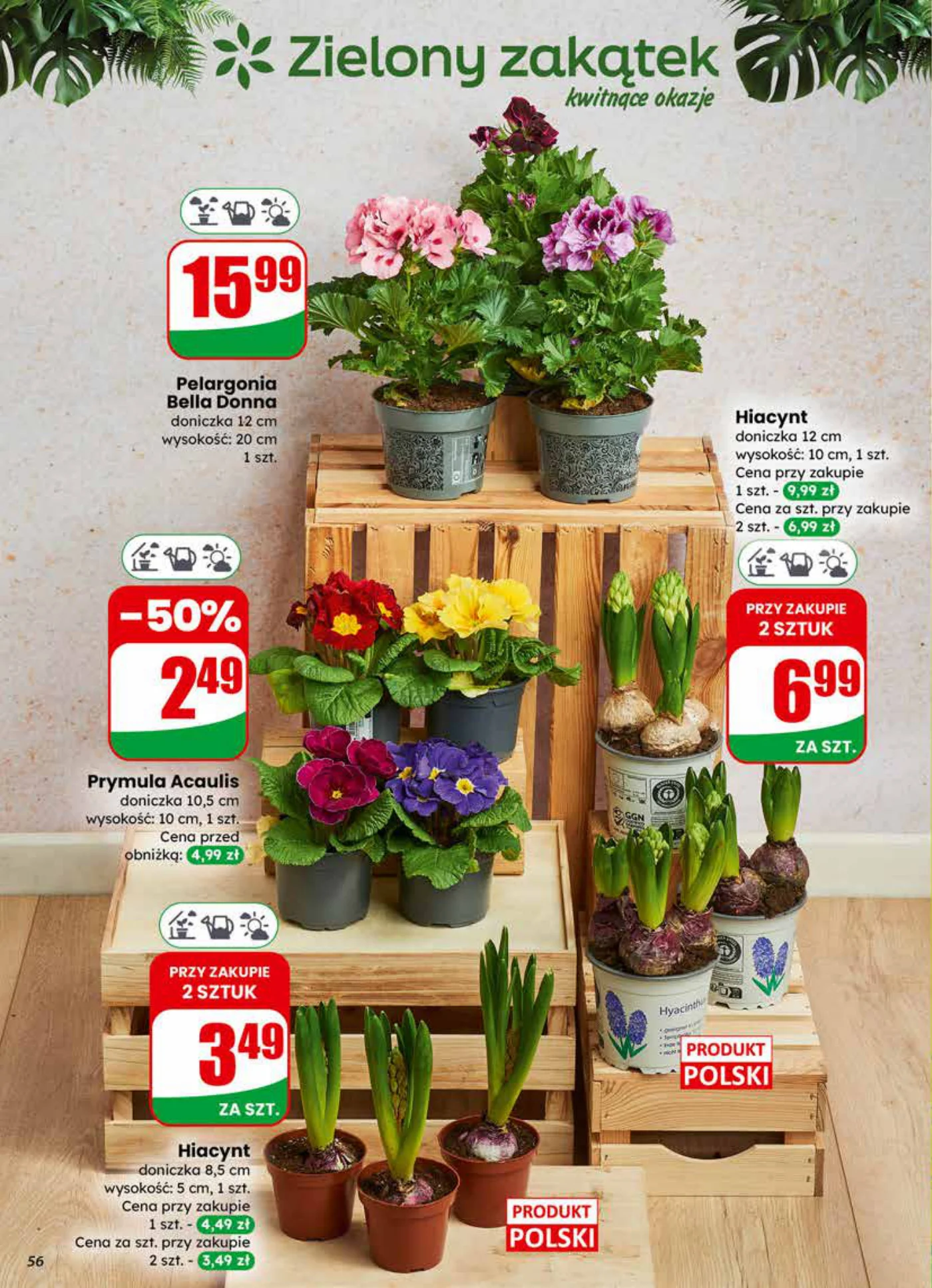 Gazetka promocyjna DINO str. 56