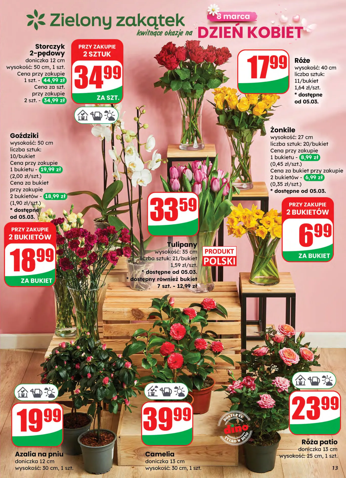 Gazetka promocyjna DINO str. 13