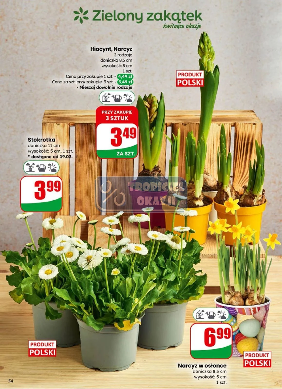 Gazetka promocyjna DINO str. 54