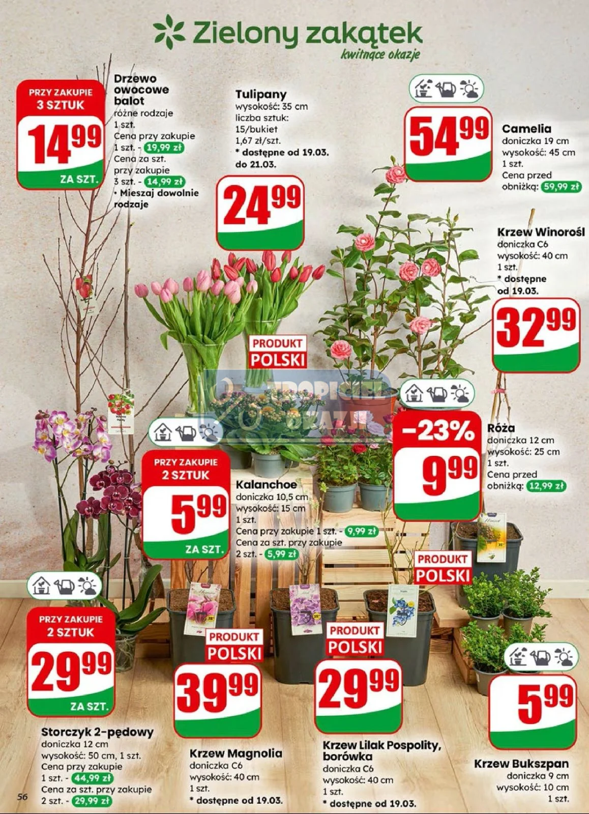 Gazetka promocyjna DINO str. 56