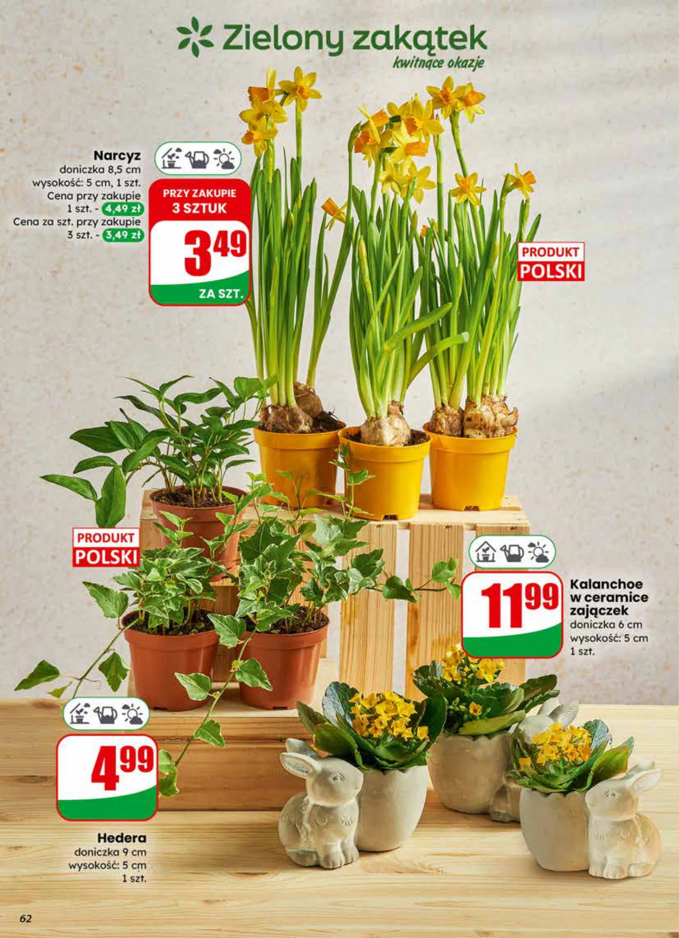 Gazetka promocyjna DINO str. 62