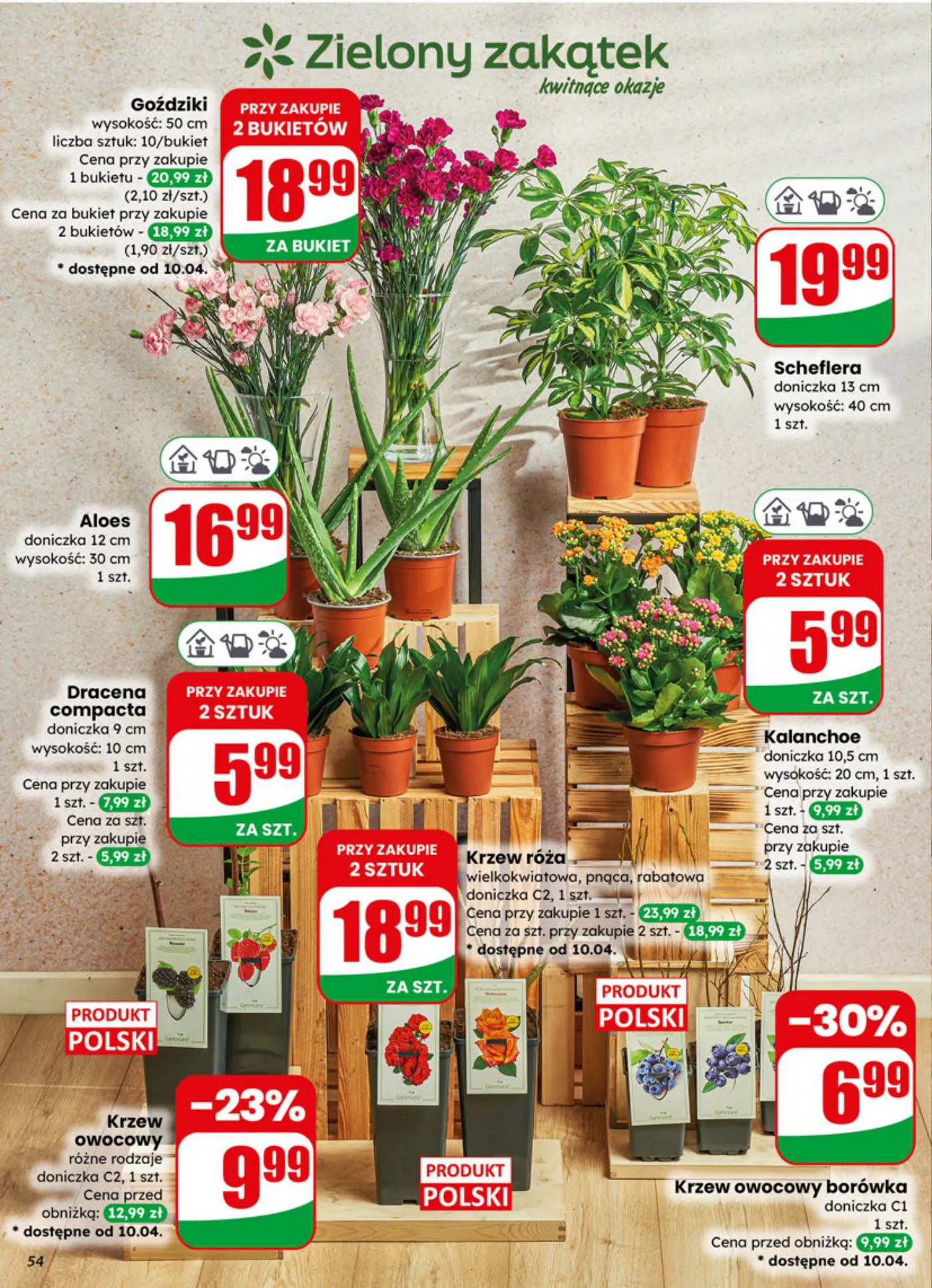 Gazetka promocyjna DINO str. 54