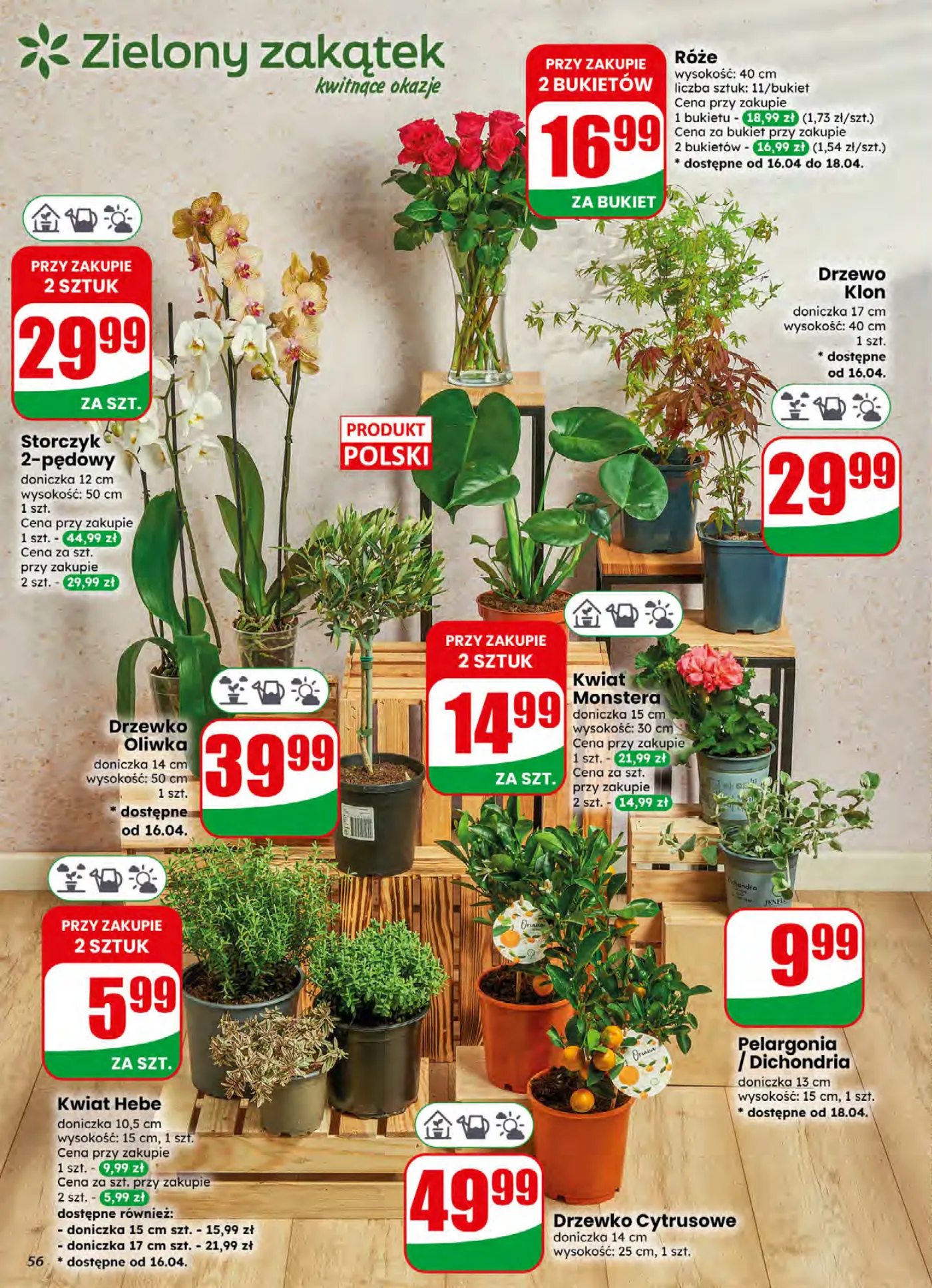 Gazetka promocyjna DINO str. 56