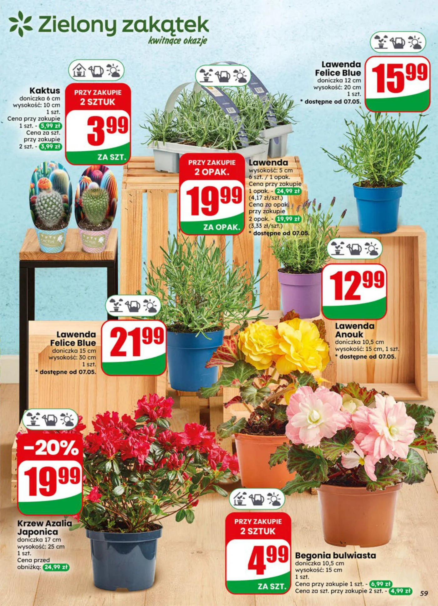 Gazetka promocyjna DINO str. 59