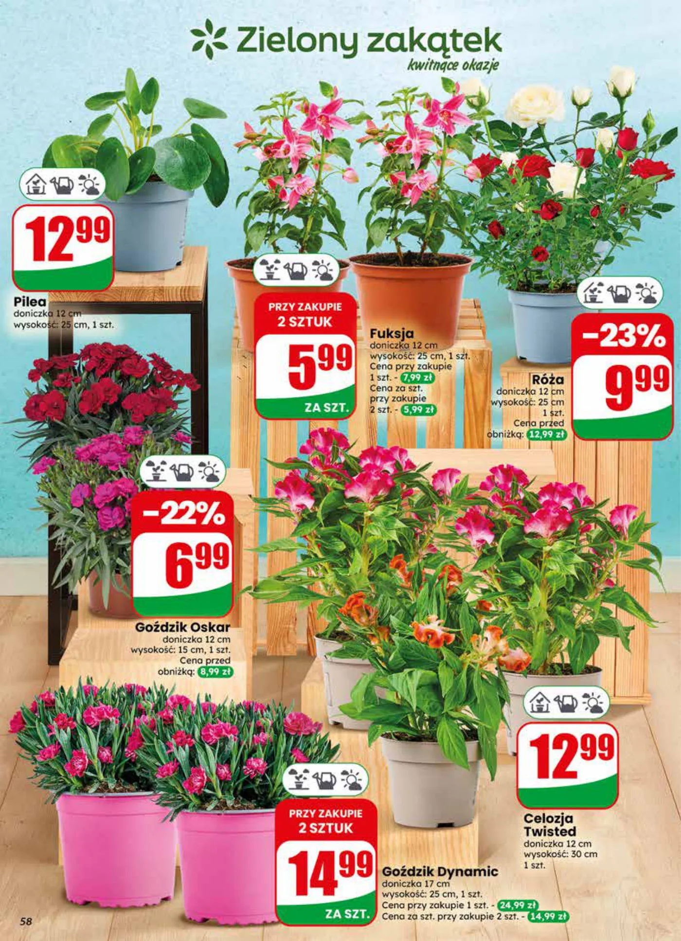 Gazetka promocyjna DINO str. 58