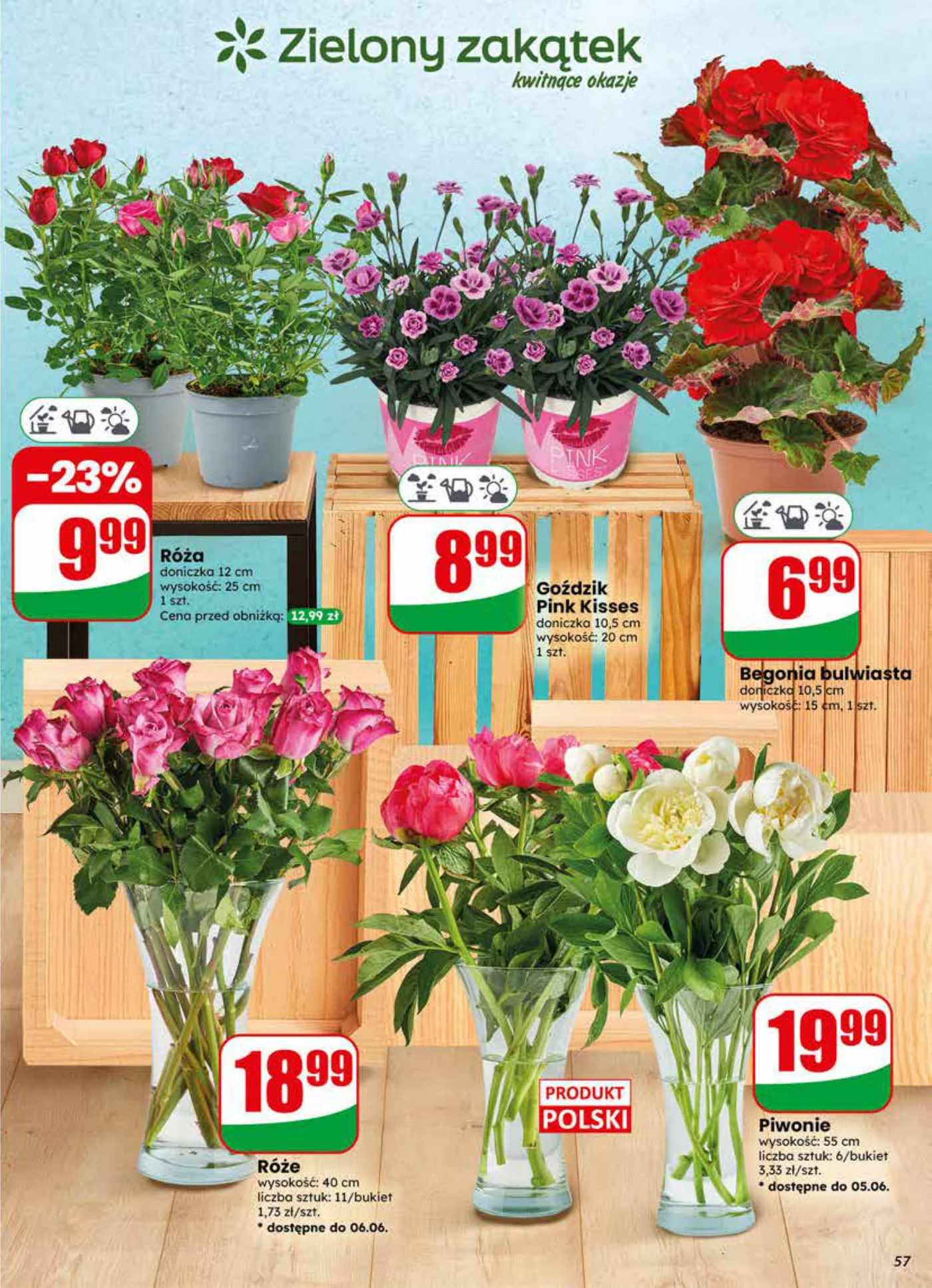 Gazetka promocyjna DINO str. 57