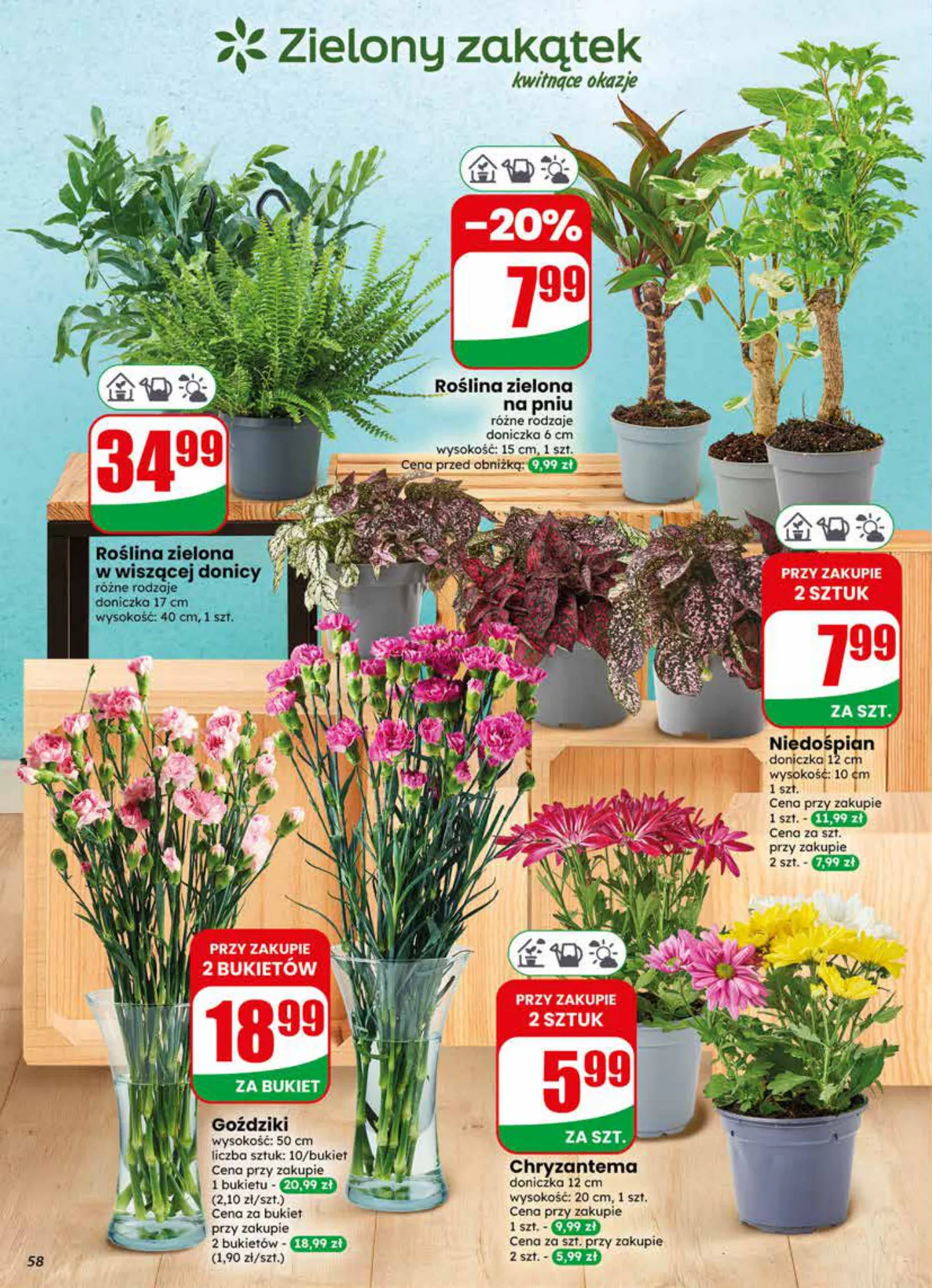 Gazetka promocyjna DINO str. 58